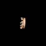 2809201703_4276-(2)