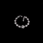 1110201703_2869-(2)