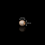 1110201705_3103954101