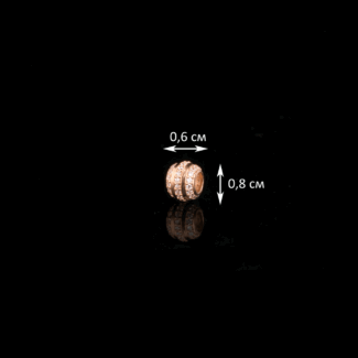 2510201712_3103998101