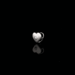 2510201712_3104102102