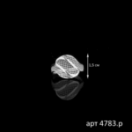 2411201702_4783r